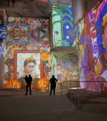 frida kahlo fleurs carrières