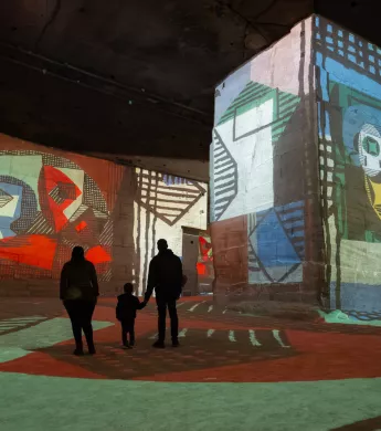 projection picasso carrières