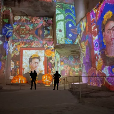 Frida Kahlo fleurs silhouettes