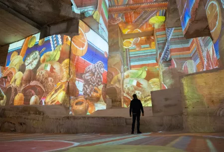 visiteur oeuvre frida kahlo projection