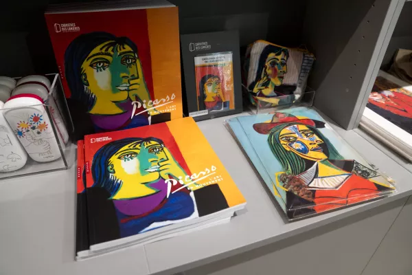 Livres d'art picasso