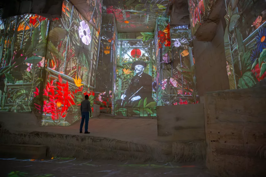 le douanier rousseau exposition immersive carrières des lumières