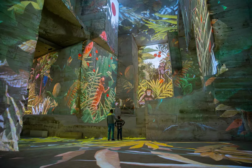 le douanier rousseau exposition immersive carrières des lumières