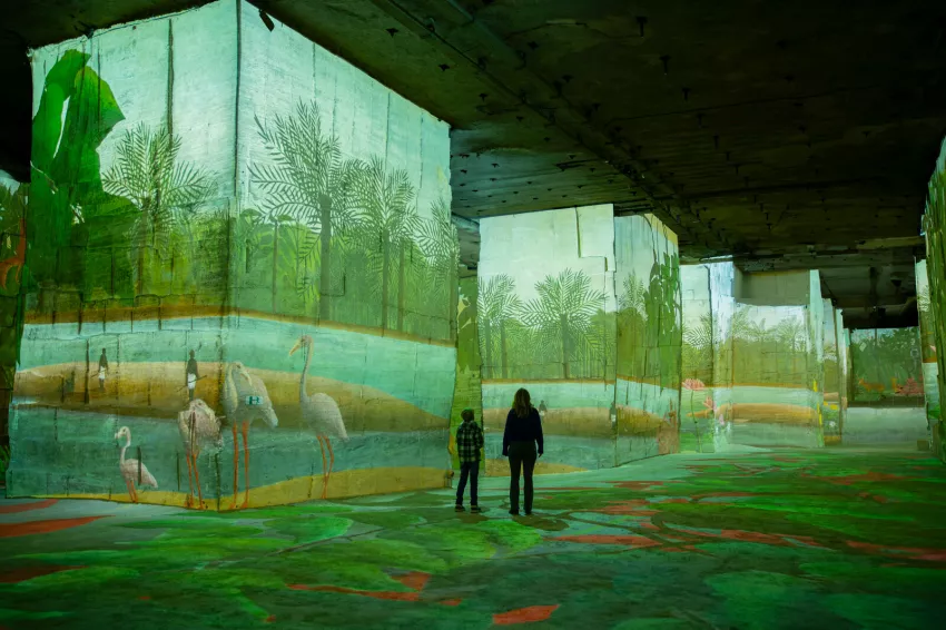 le douanier rousseau exposition immersive carrières des lumières