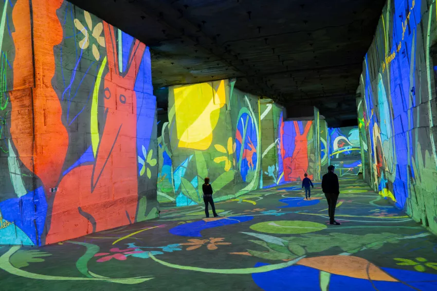 renard coloré projection carrières