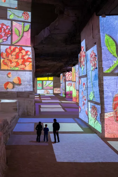 rose projection carrières