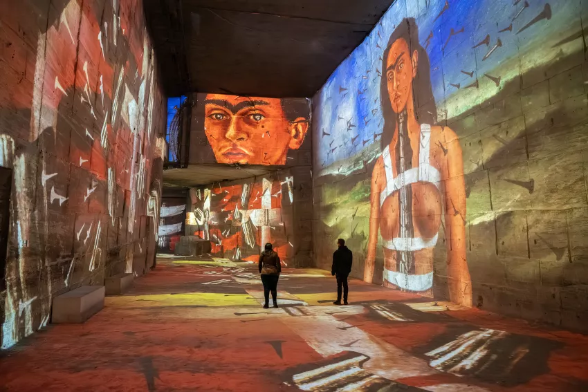 autoportrait frida kahlo projection