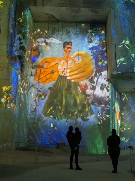 autoportrait frida kahlo projection