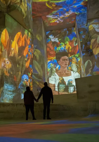 frida kahlo oiseaux peinture projection