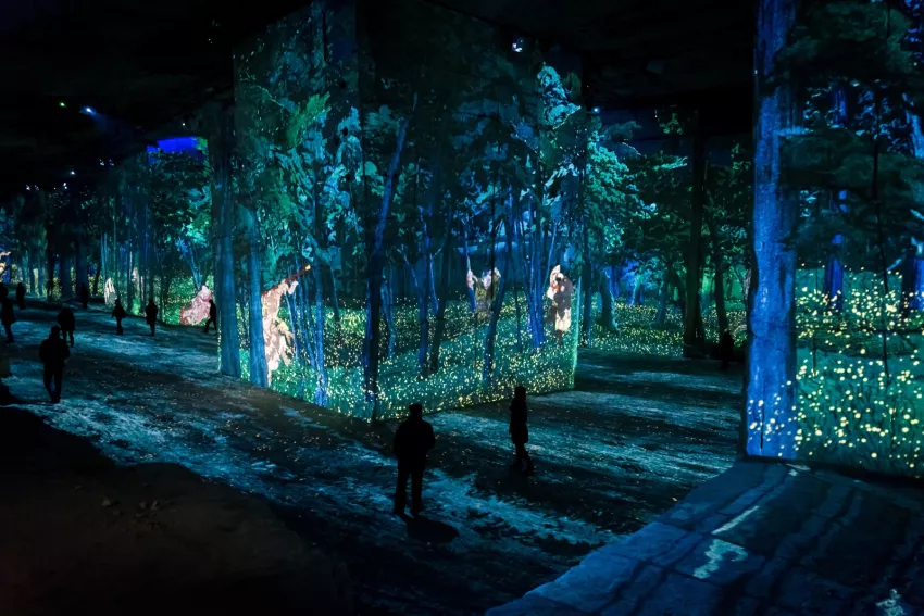 projection japon rêvé forêt