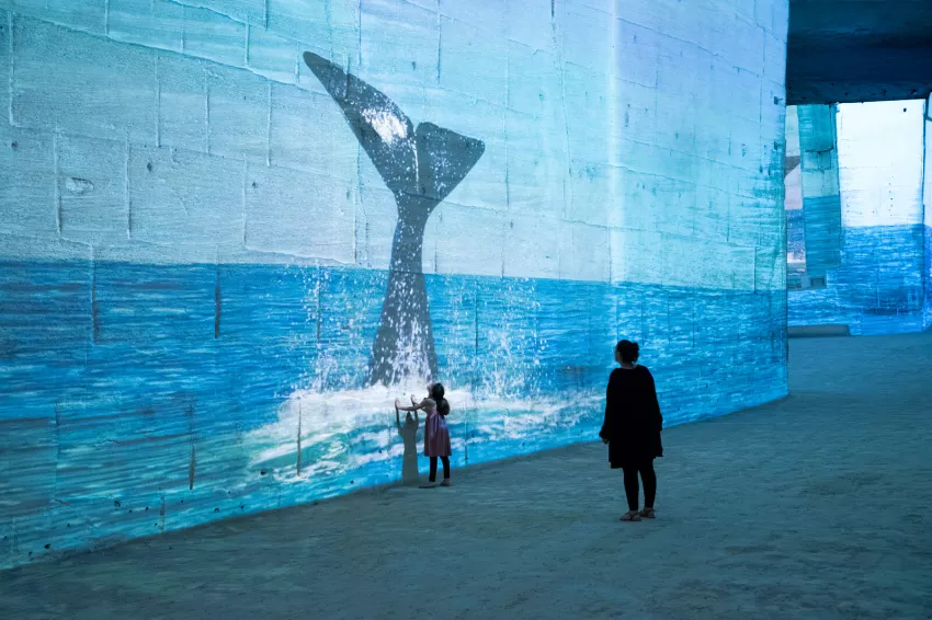 Baleine mer océan silhouettes famille