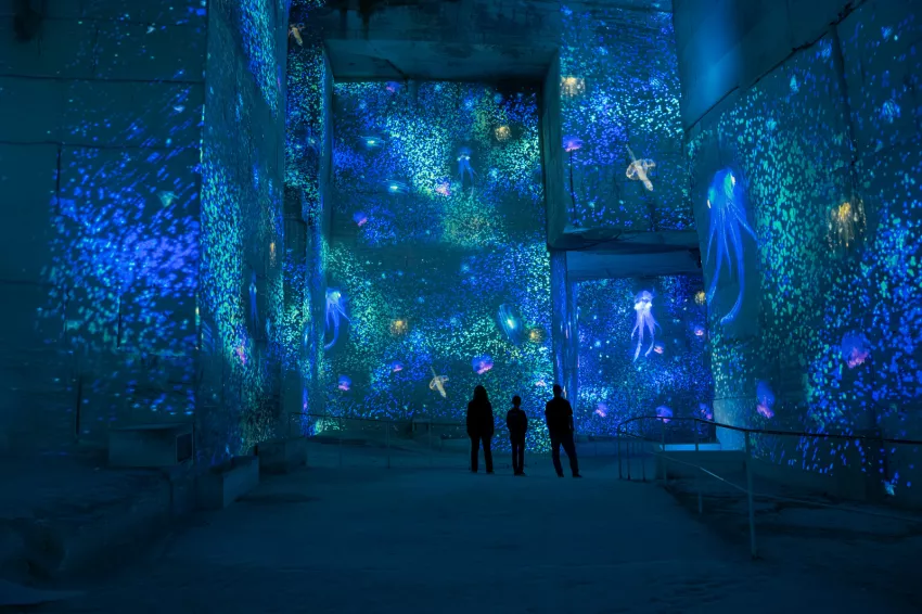 Abysses océan silhouettes projection