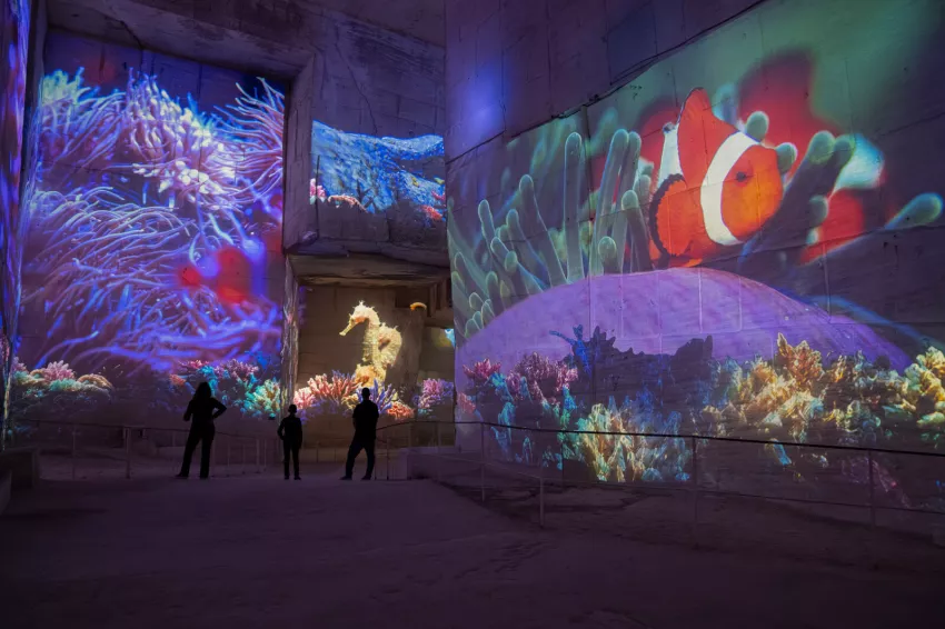 Océan silhouettes projection 