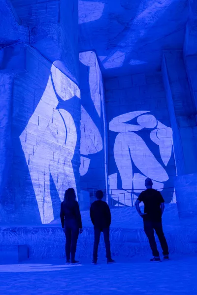 matisse découpages